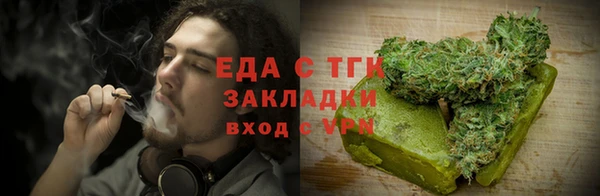 трава Ельня