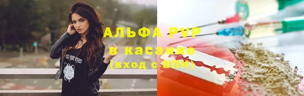 СК Елабуга