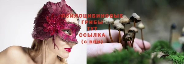 СК Елабуга