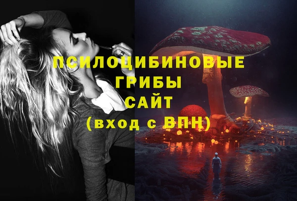 СК Елабуга