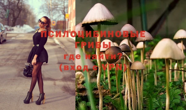 трава Ельня