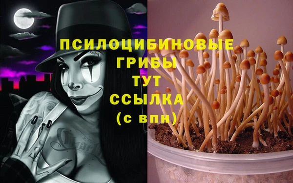 mix Елизово