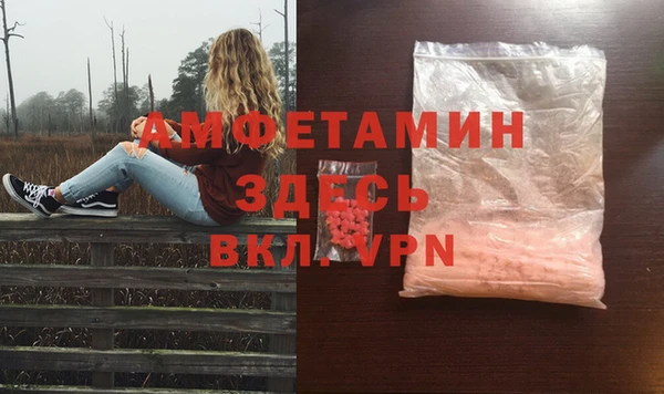 трава Ельня
