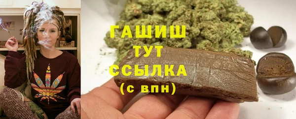 трава Ельня