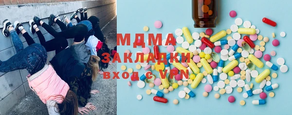 трава Ельня