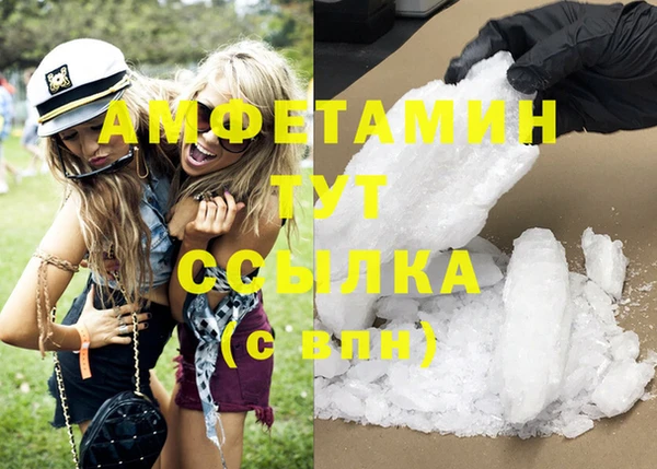 трава Ельня