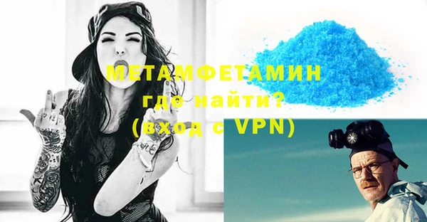 трава Ельня